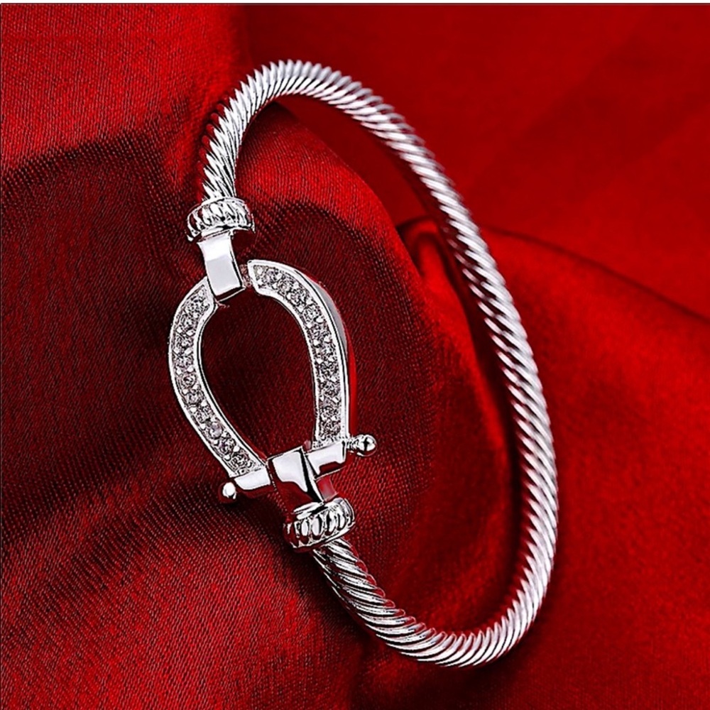 Stainless Horseshoe Design Zircon Twisted Bangle Bracelet
